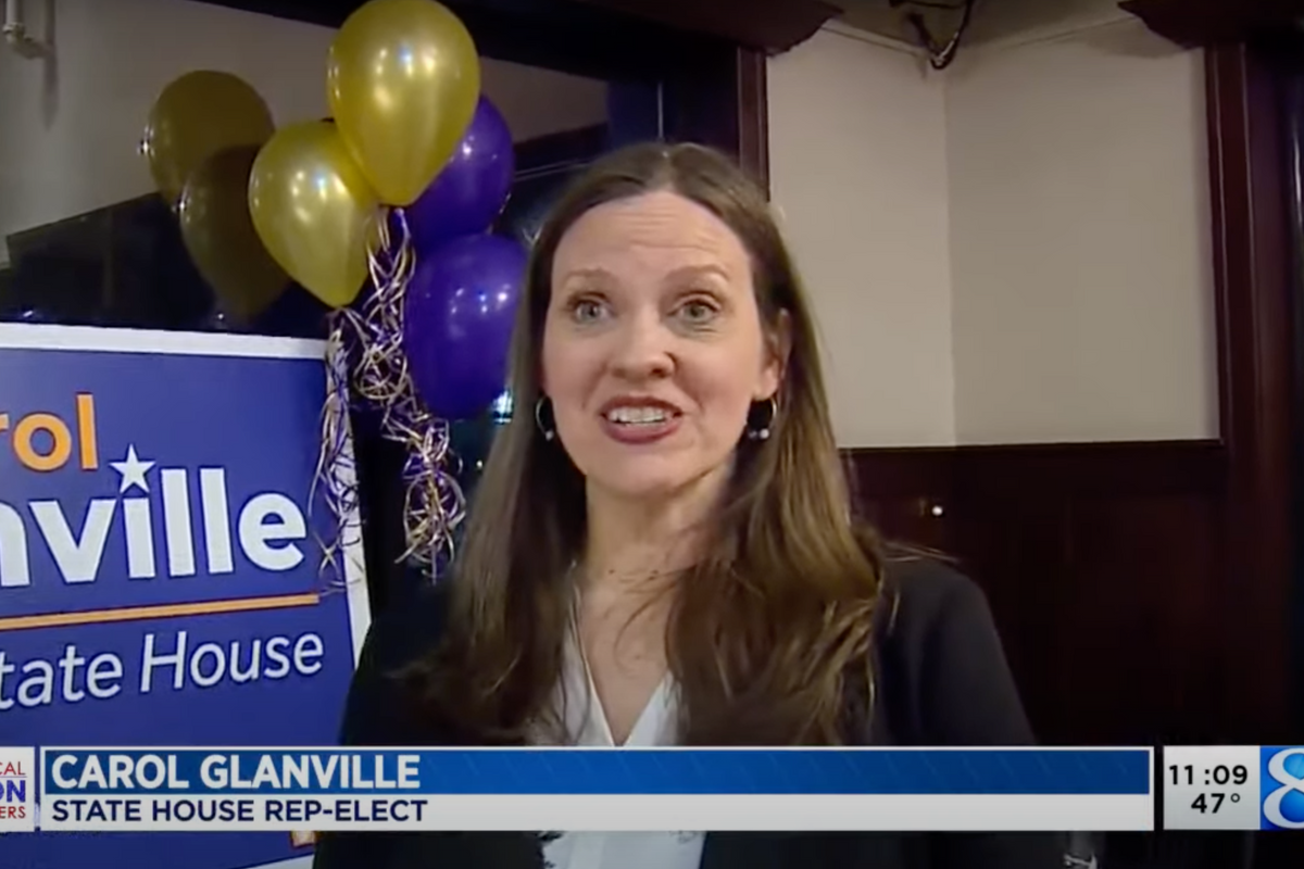 Democrat Carol Glanville Defeats Gross Nazi Rape Comic In Michigan State House Race!