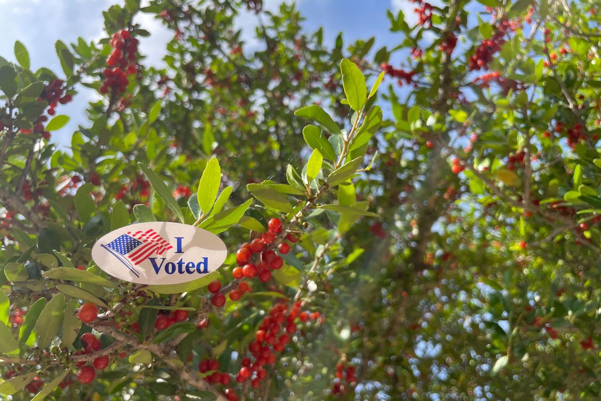 Election results: Austin voters overwhelmingly pass decriminalization of marijuana