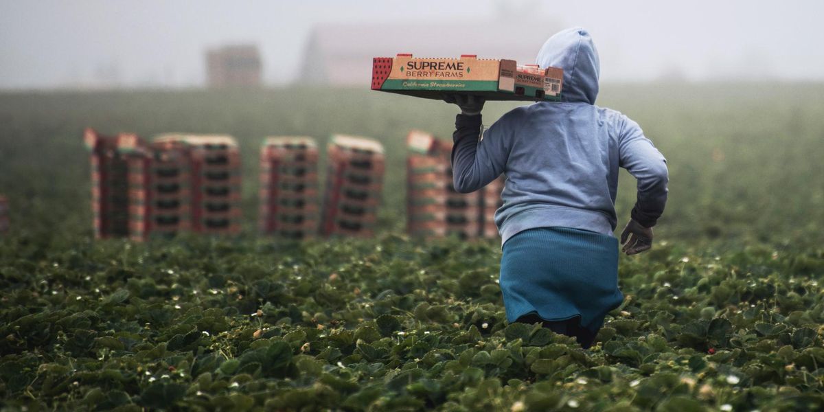 People Break Down Which Professions Are Criminally Underpaid