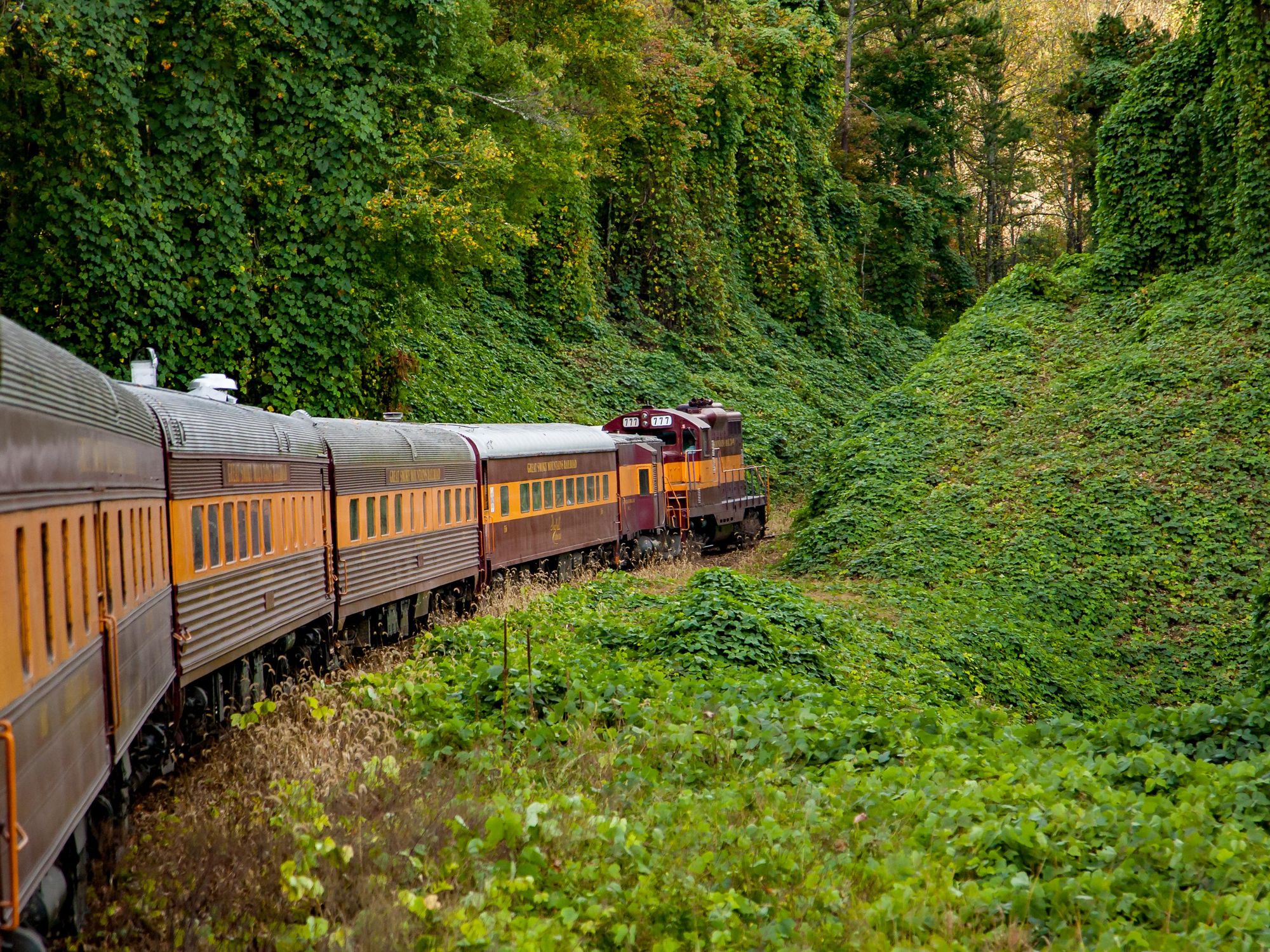 Northern Central Railway excursion train rolls through the borough of  Railroad