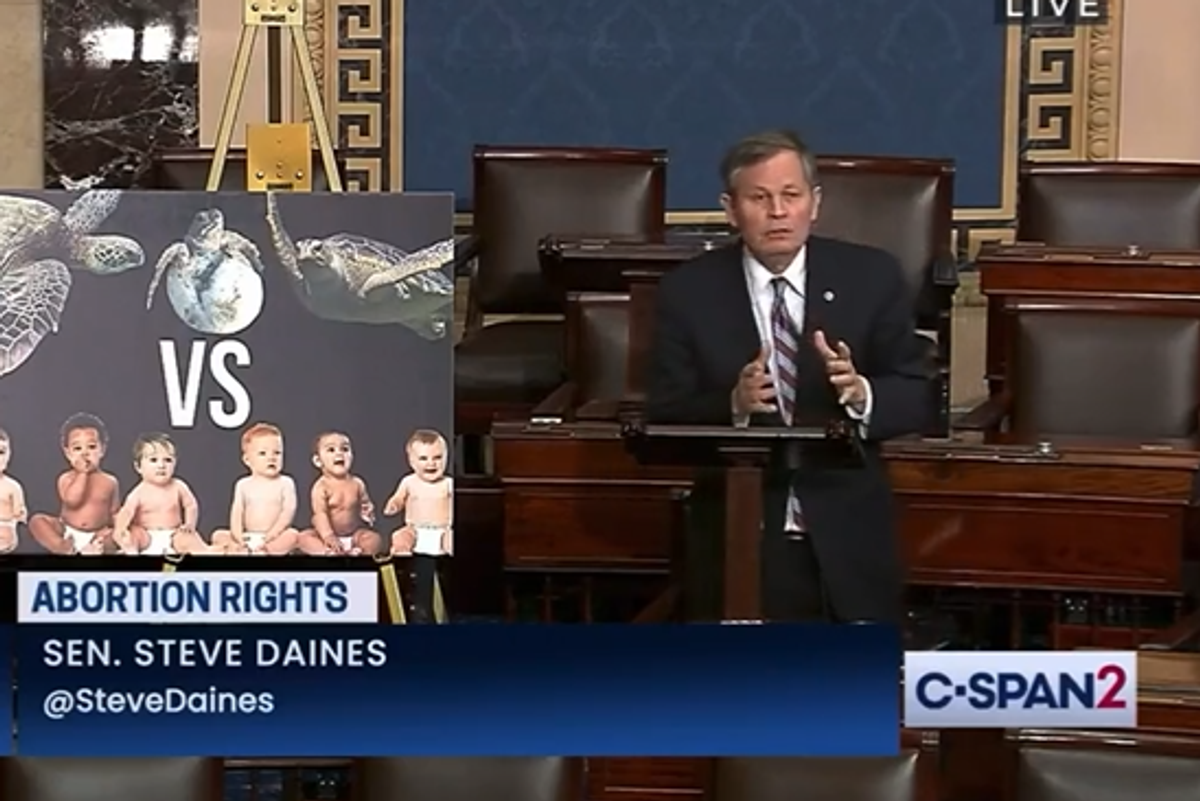 GOP Sen. Steve Daines Knows Jesus Loves Sea Turtle Baby Eggs And Eagle Baby Eggs And Human Baby Eggs Too