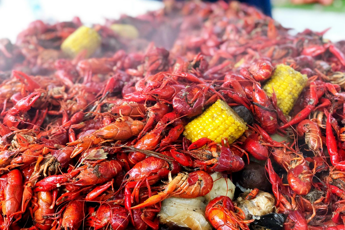 Kitten shower, Mimosa Fest and crawfish galore: What to do in Austin this weekend