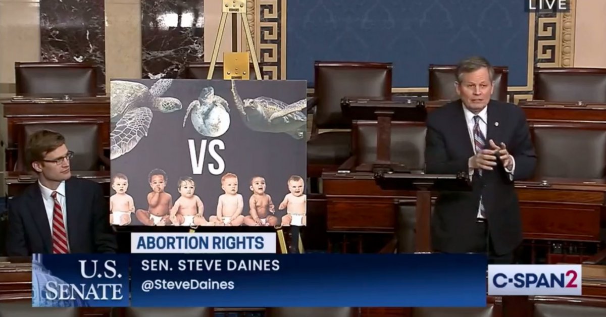 GOP Senator Absurdly Compares Human Pregnancy To Protections For Sea Turtle And Eagle Eggs