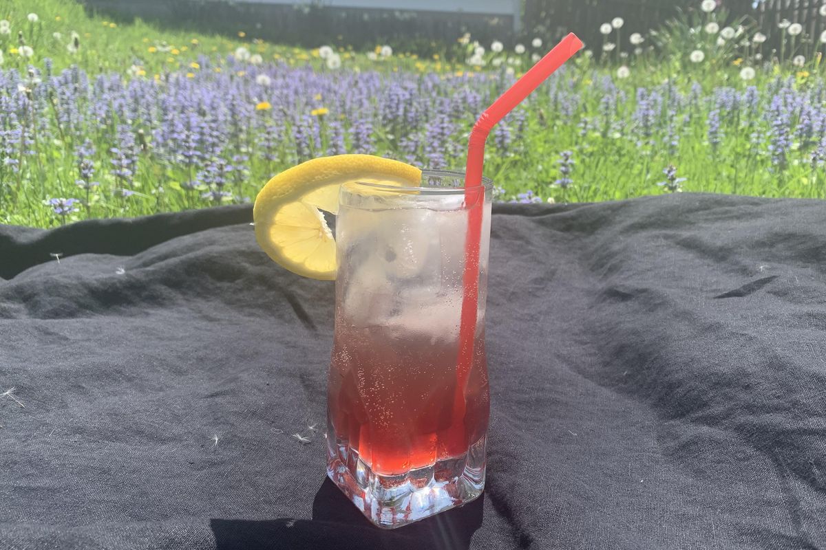 Welcome to Wonkette Happy Hour, With This Week's Cocktail, The Gin Daisy!