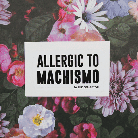 sticker packs