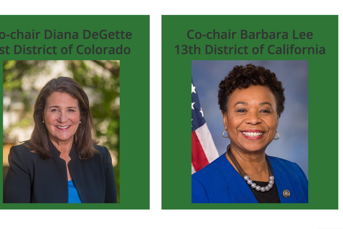 The Pro-Choice Caucus's Abortion Messaging Guidelines Are Good, Actually!