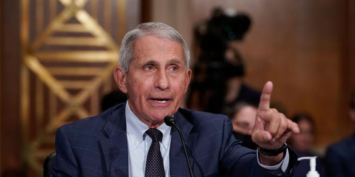Fauci says there would have been fewer COVID-19 deaths if more people had gotten vaccinated