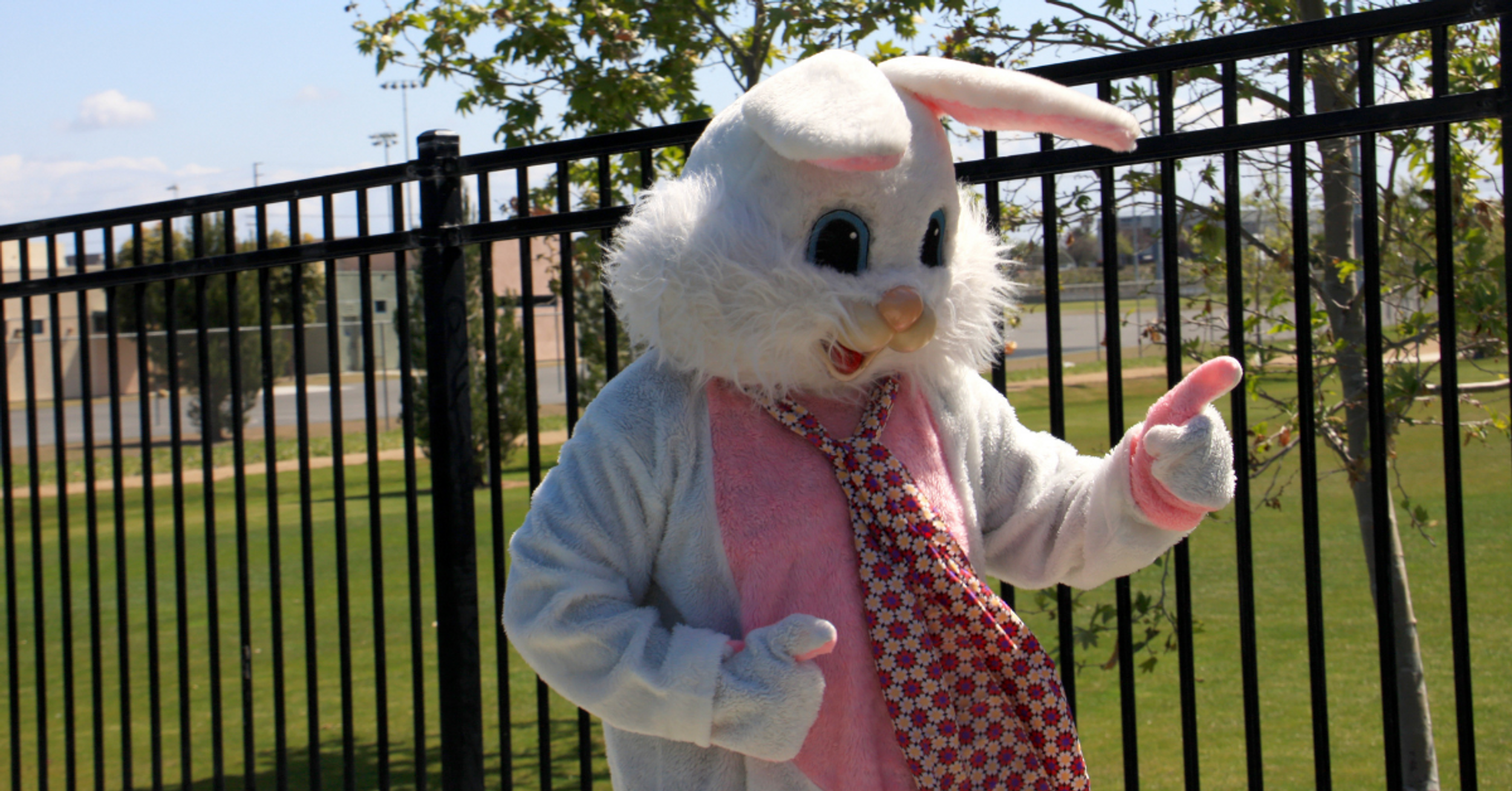 Texas Parents Outraged After Easter Bunny Accidentally Hands Out Condom-Stuffed Eggs At School