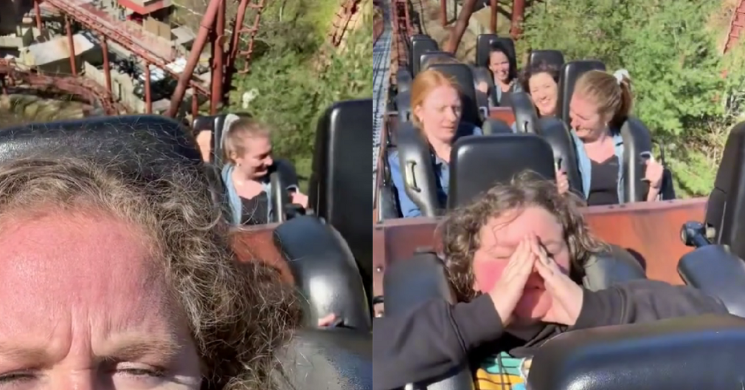 TikToker's Family Freaks Out After Getting Stuck At The Top Of A Rollercoaster 'In Midair' At Dollywood