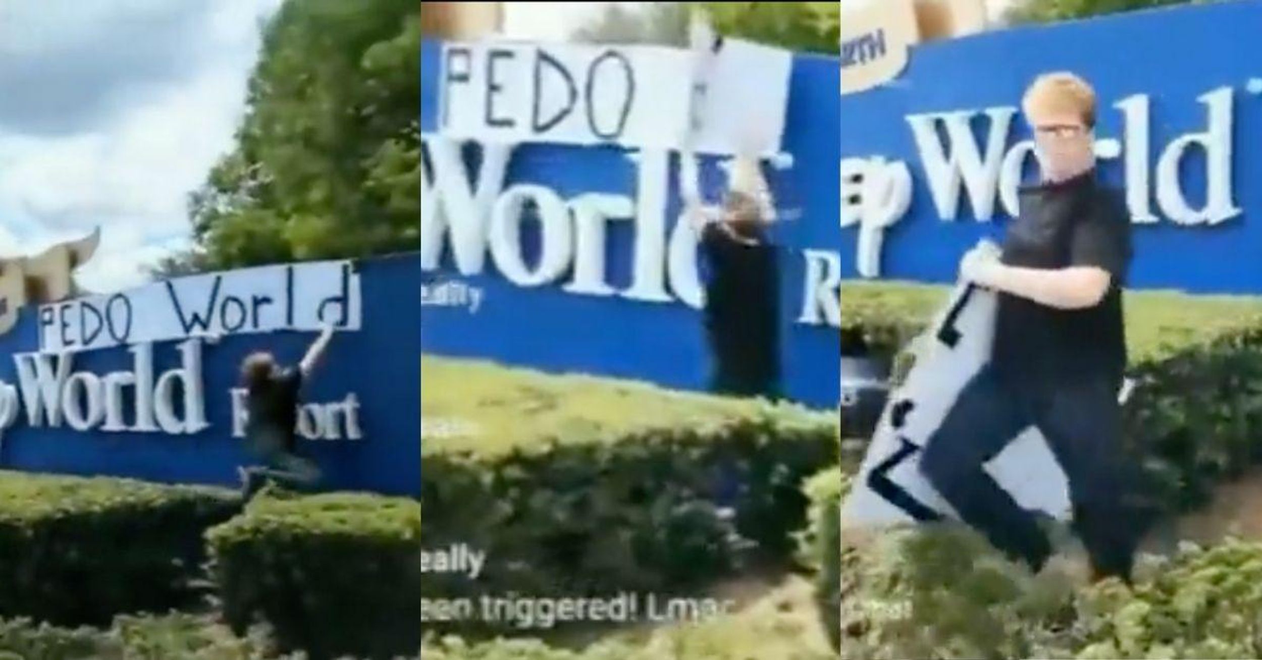 Anti-Gay Protesters Throw Tantrum After Woman Rips Down Their 'Pedo World' Sign At Disney