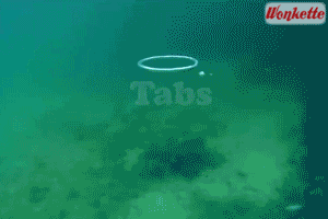 Do This Every Evening And Fungus Will Be Gone In No Time! Tabs, Fri., April 22, 2022