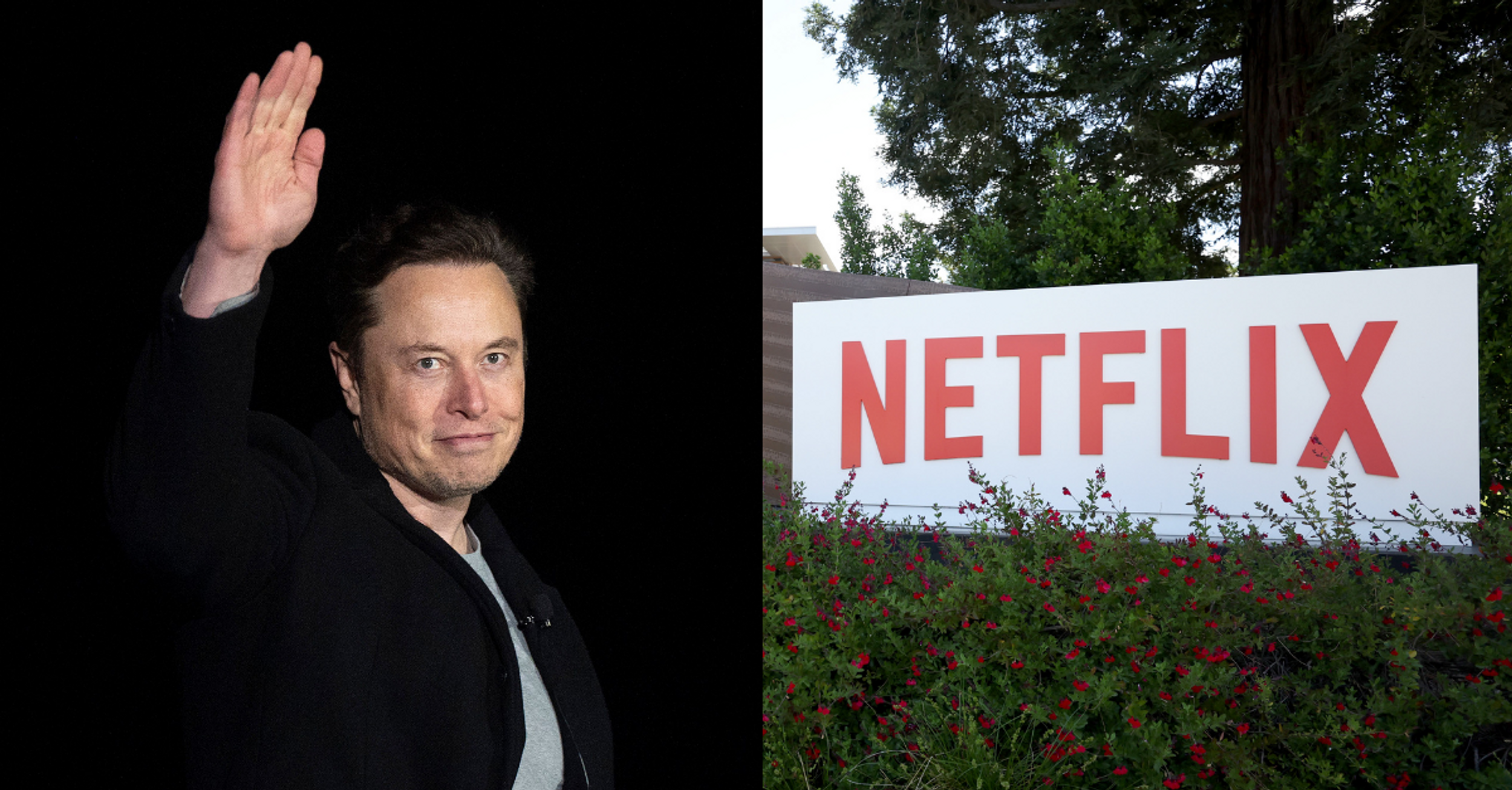 Elon Musk Blames 'Woke Mind Virus' For Netflix's Decline After Subscribers And Stock Prices Fall