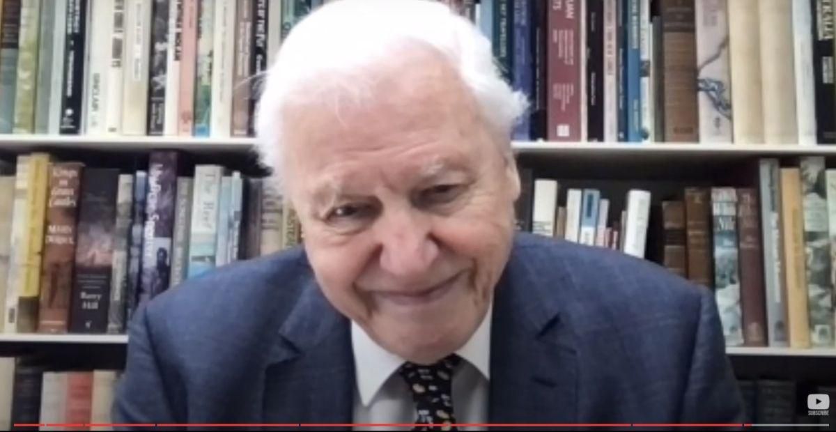 David Attenborough's remarks after receiving lifetime Champion of the Earth award are a must-watch