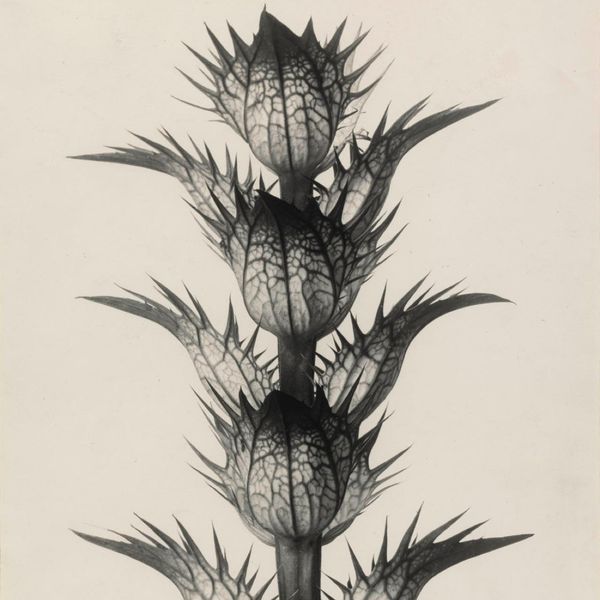 Capolavori della fotografia moderna in mostra allo spazio Camera di Torino