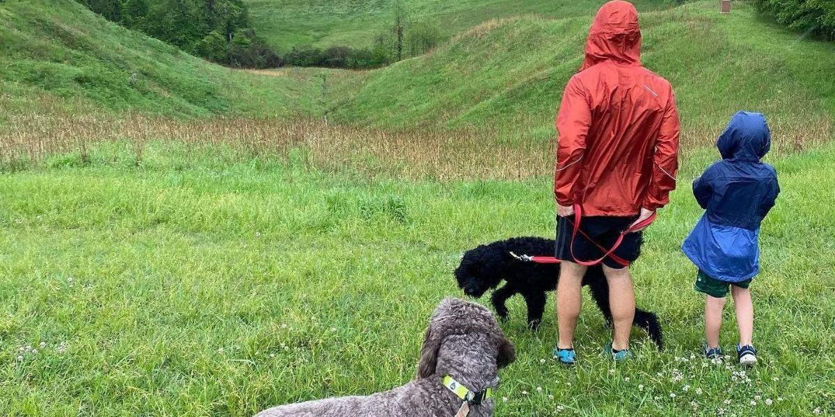 Mississippi is the ultimate dog-friendly vacation spot - Vimarsana News