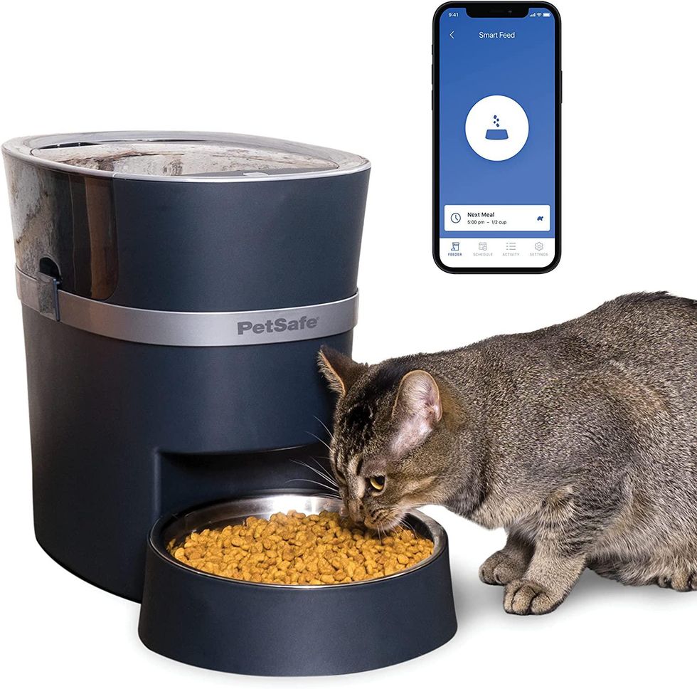 A photo of a cat eating out of a PetSafe Smart Automatic Dog and Cat Feeder