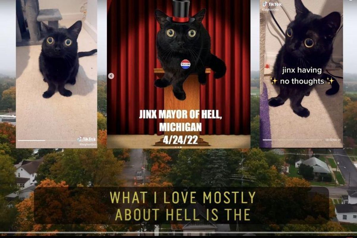 Jinx, the big-eyed, funky-footed black cat, was sworn in as the mayor of Hell