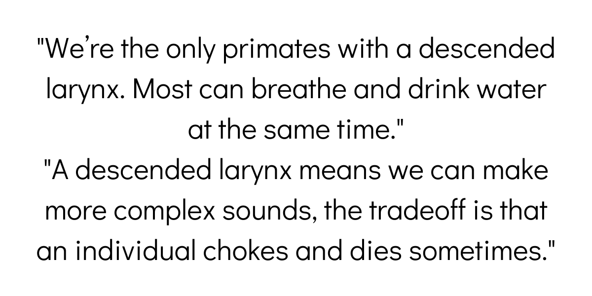 Why Am I Puking? Takei