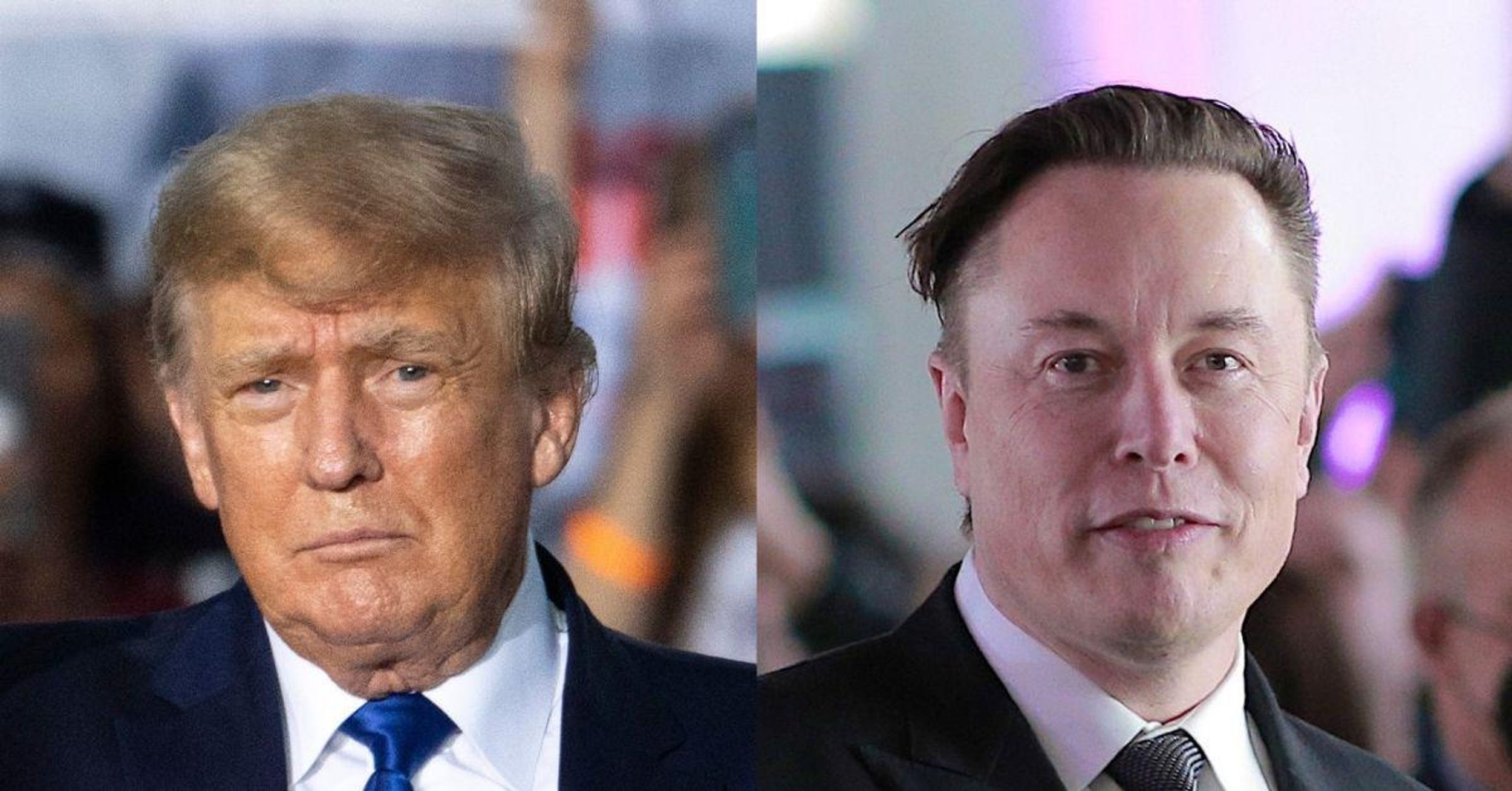 Trump Declares He Won't Go Back To Twitter Once Elon Musk Buys It—And Everyone Had The Same Response