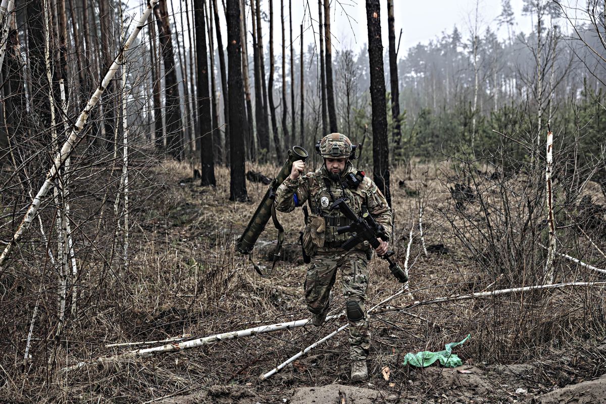 Ci portano alla guerra diretta con la Russia