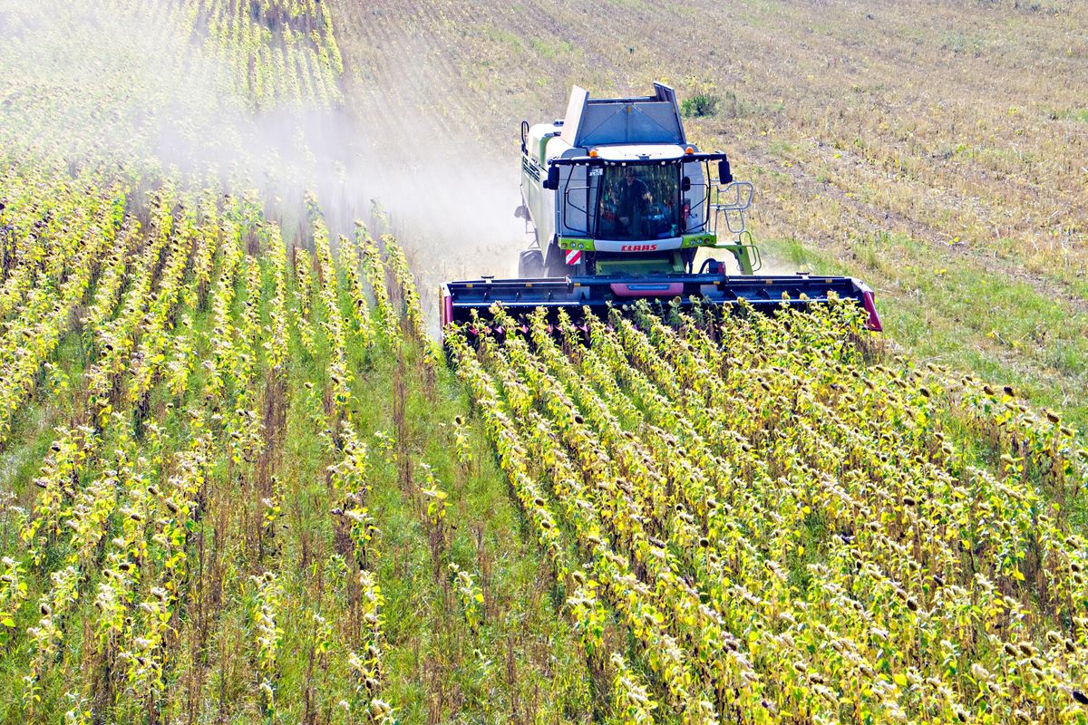 Con la scusa della guerra manipolano gli alimenti