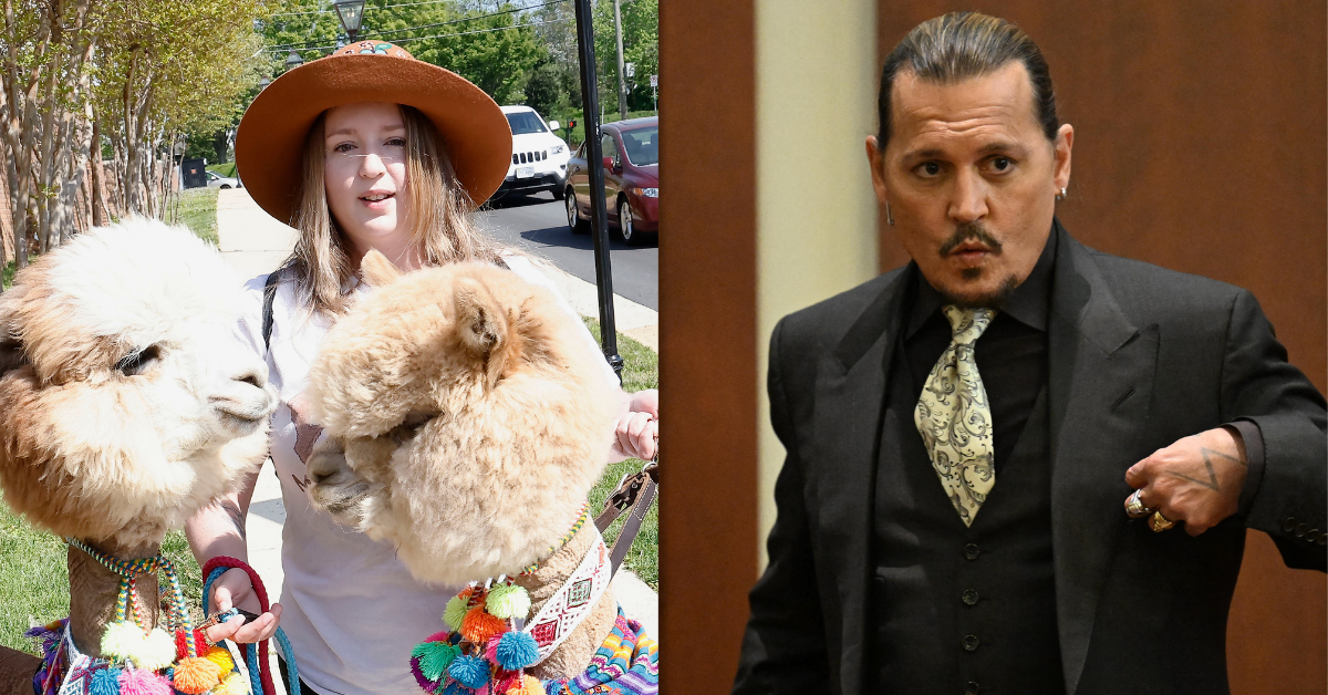 Johnny Depp Supporter Brings A Pair Of Alpacas To Defamation Trial To 'Cheer Him Up'