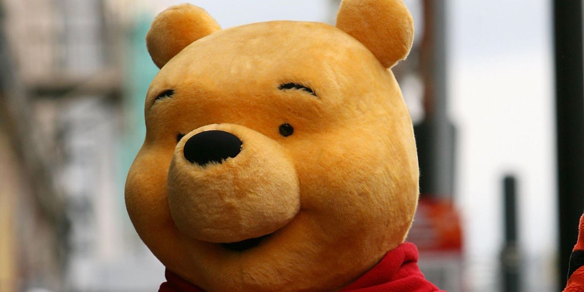 Nobody Asked for This Winnie-The-Pooh