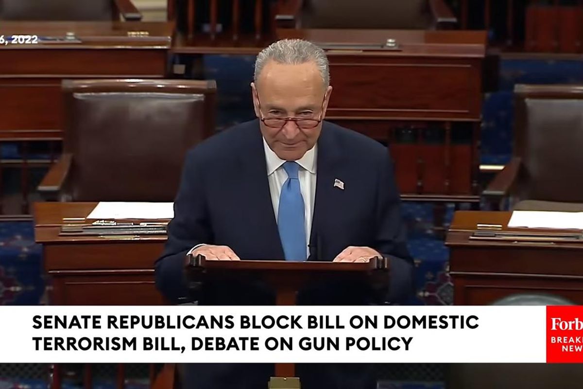 GOP Blocks Domestic Terrorism Bill Because Won't Anyone Think About The Poor Nazis In The Military?