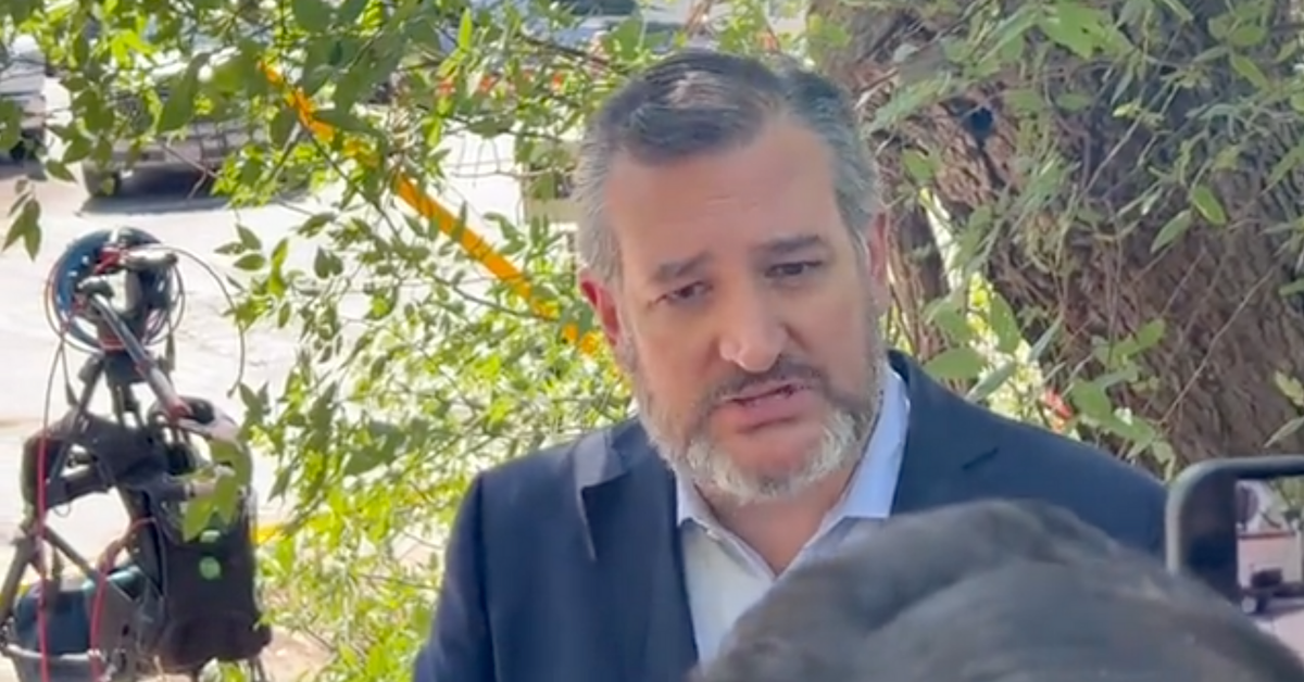 Ted Cruz Says More Guns In School And Fewer Doors Are The Answer To School Shootings–And People Can't