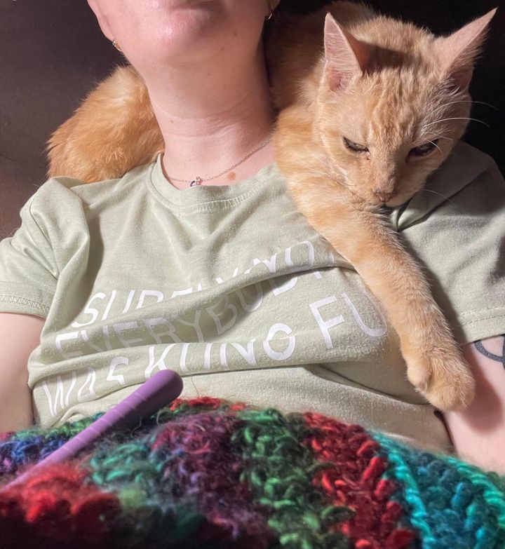 affectionate shoulder cat, orange tabby