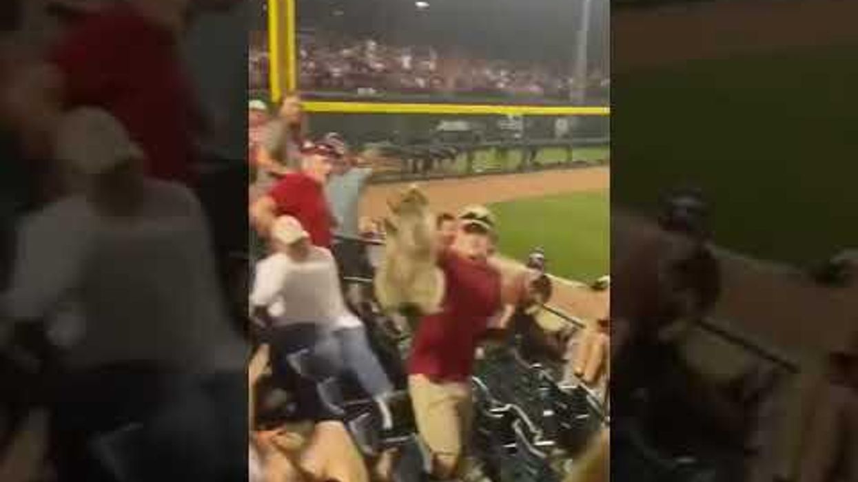 Arkansas baseball fan catches raccoon in the stands with his bare hands