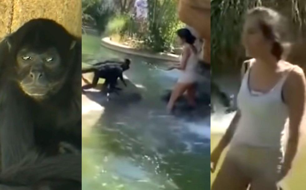 Woman fired over viral video of her jumping a fence to feed Flamin’ Hot Cheetos to spider monkeys at a zoo says she won’t apologize