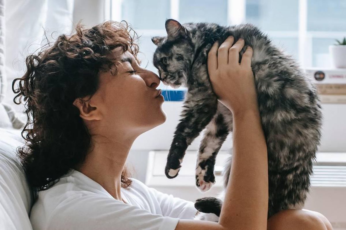 cats, cats know names, pet studies