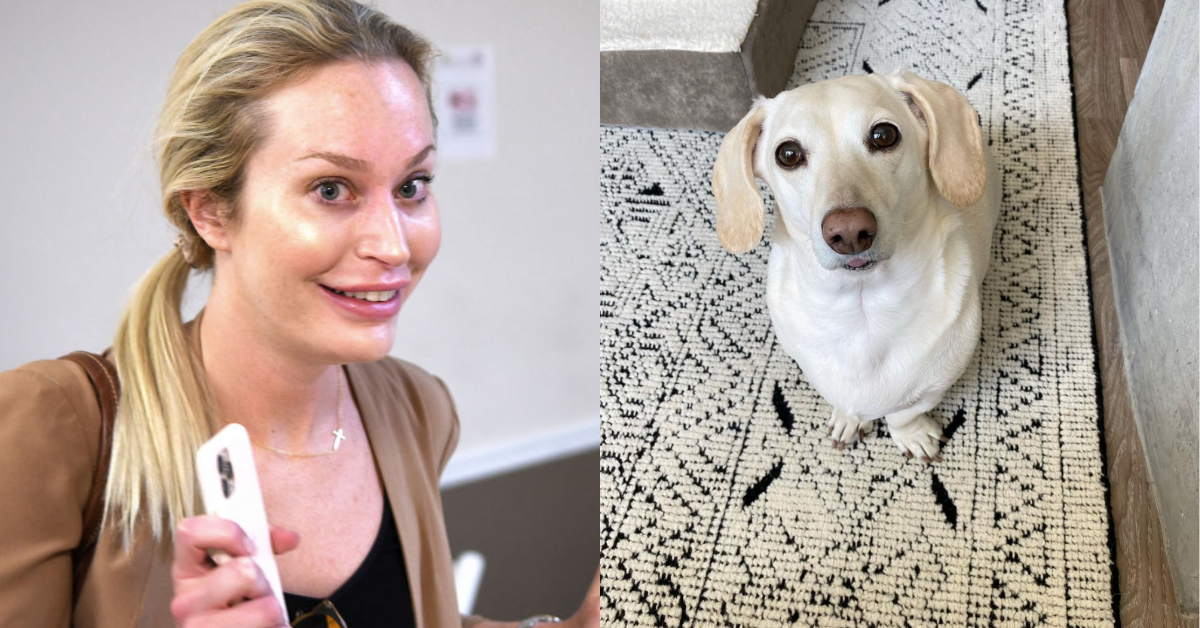 DeSantis Spokeswoman Dragged For Believing Fake Article About 'Homophobic' Dachshund Is Real