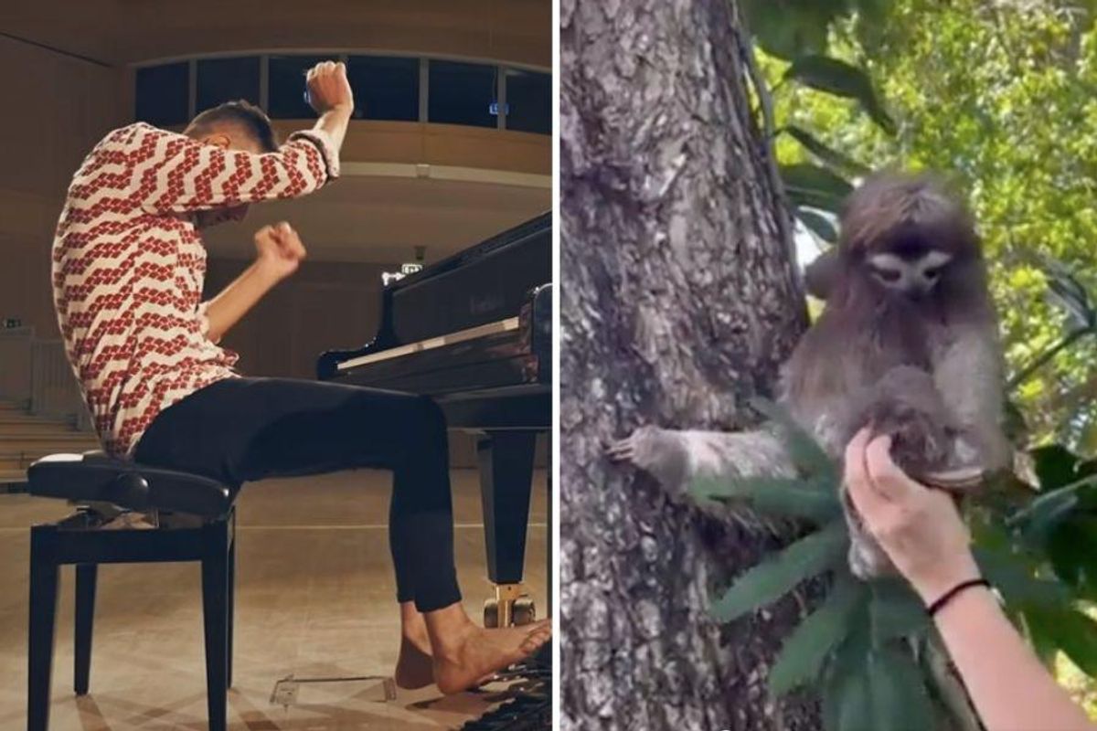joy, music, sloth