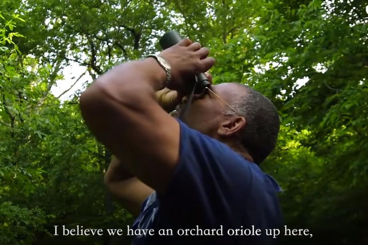 Nice Time! Central Park Birder Guy Gets Own TV Show, For The Birds!