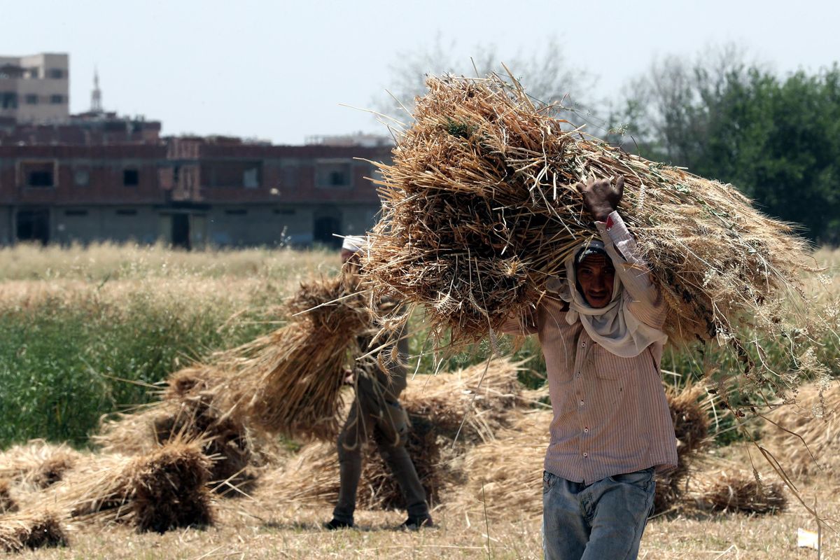 Immigrati e cibo sono le nuove armi di guerra