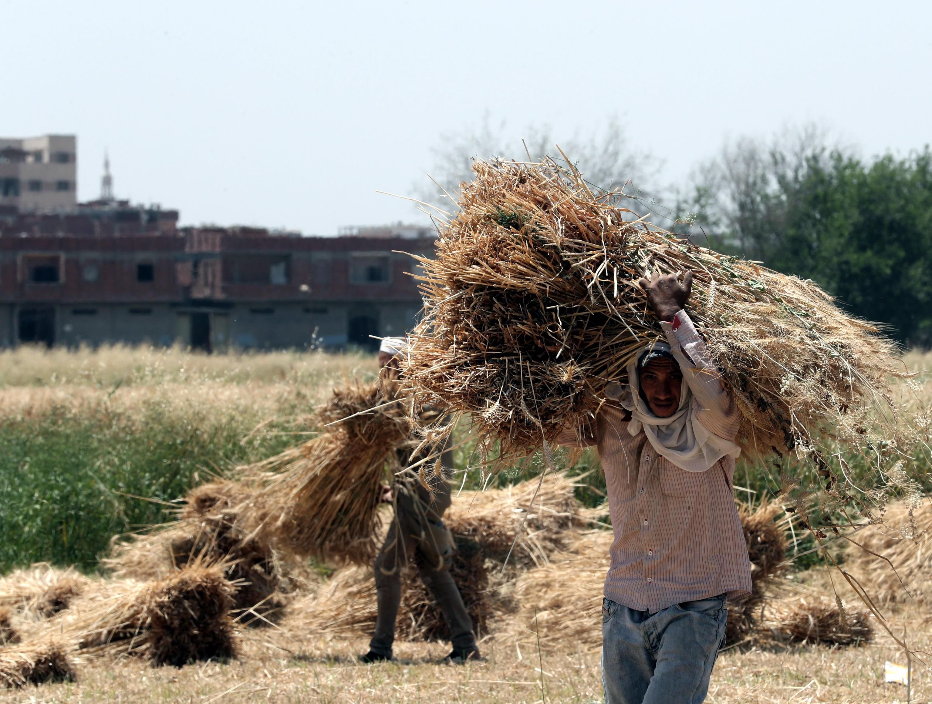 Immigrati e cibo sono le nuove armi di guerra