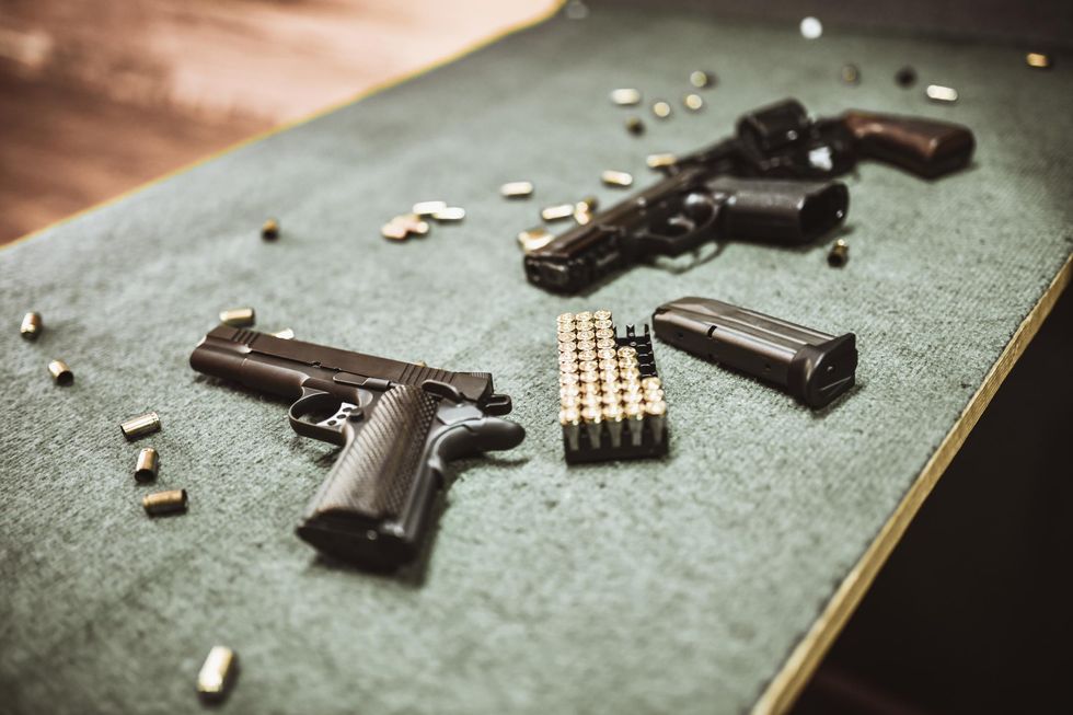 Horowitz Gun violence the real red flags that no one talks about