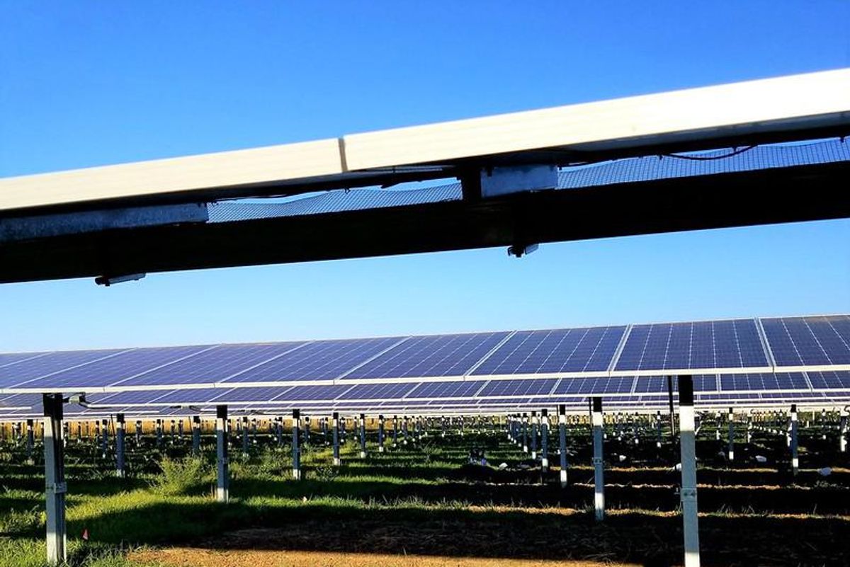 Nice Time: Joe Biden Cramming Solar Panels Down America's Throat