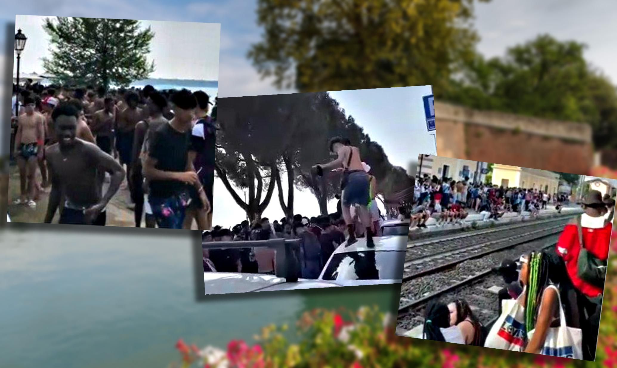 Il branco del Garda dilaga ovunque perché abbiamo ucciso il padre