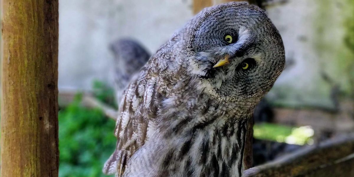 People Break Down Which Things They Thought Were Normal But Actually Aren't At All