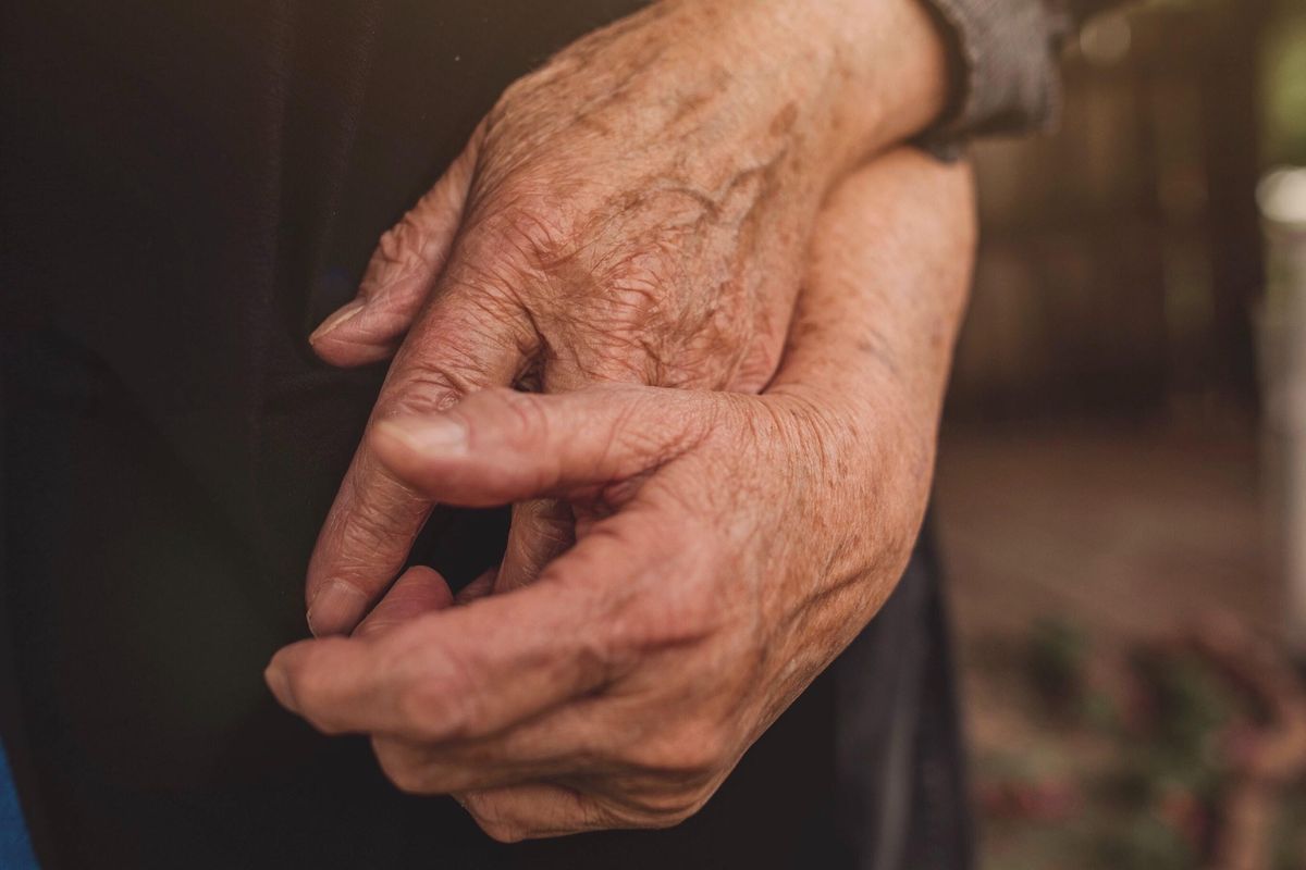 veteran find long lost japanese love