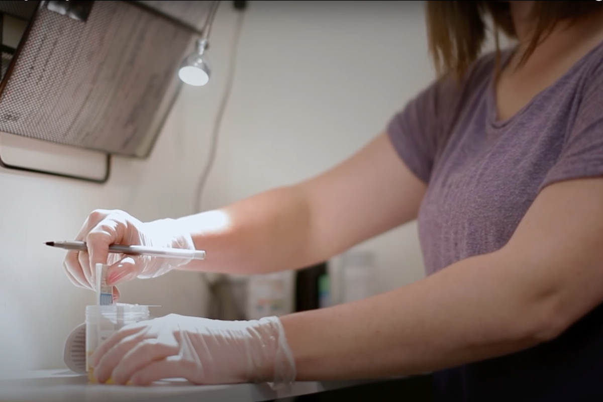Whistleblower Says 30 Percent Of Averhealth's Drug Tests Provide False Results