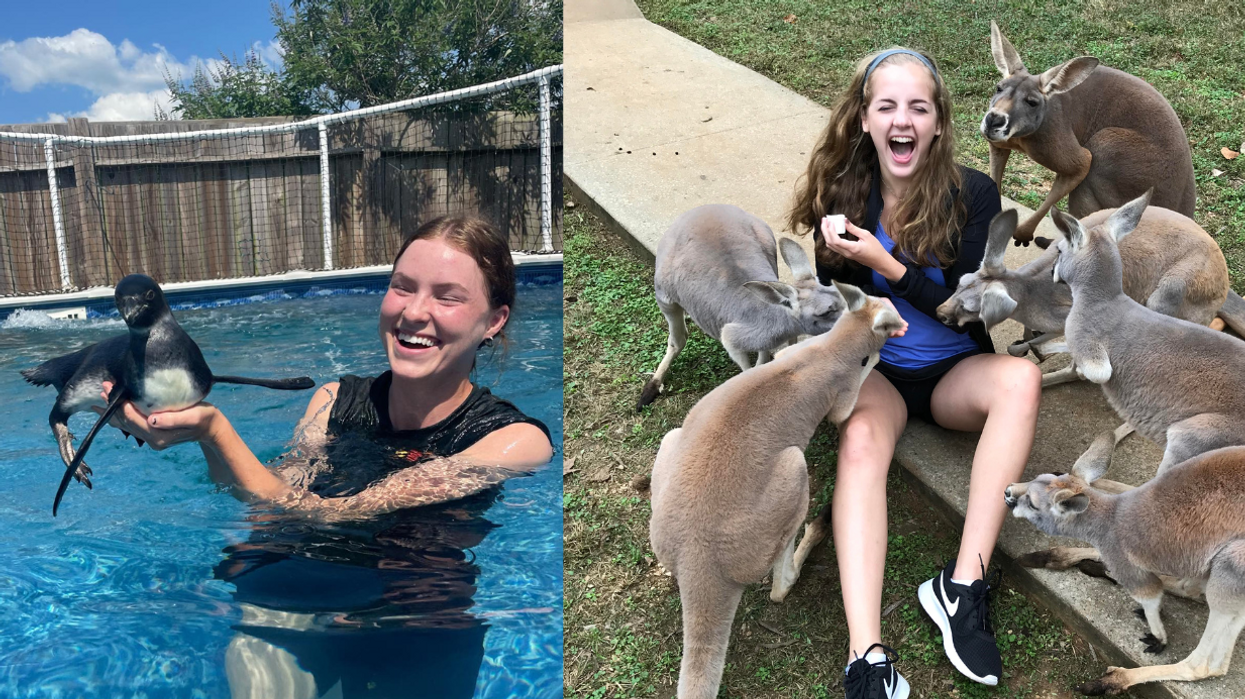 13 Southern animal parks you need to visit if you really, really love animals
