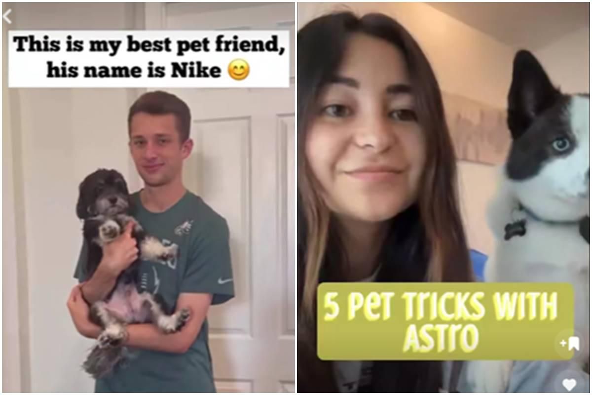 snapchat, pet tricks, dog tricks