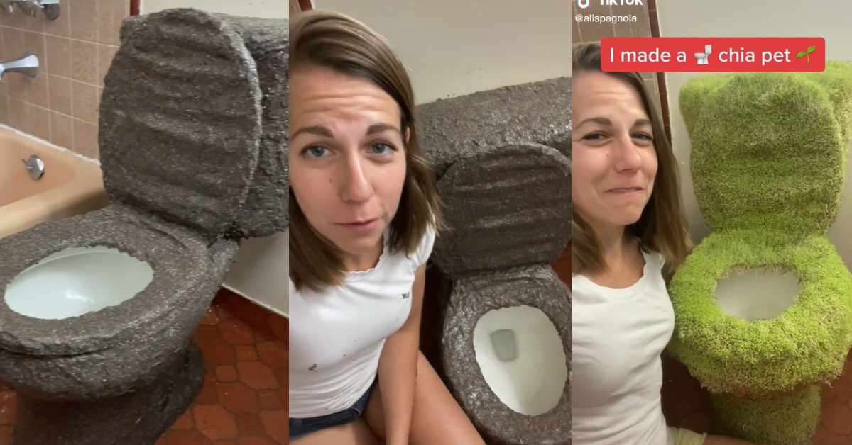 TikTok Artist Goes Viral After Successfully Turning Her Toilet Into A Giant, Lush Chia Pet