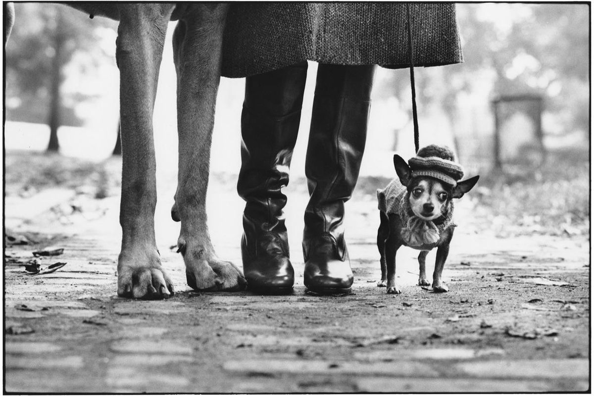 Elliott Erwitt in mostra al museo Diocesano di Milano