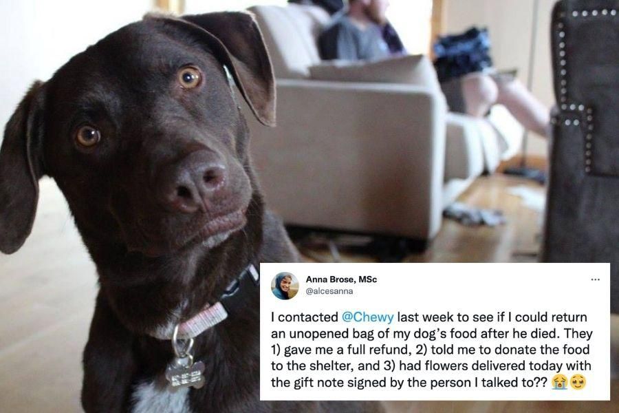 Woman shares on Twitter how Chewy sent flower after her dog passed