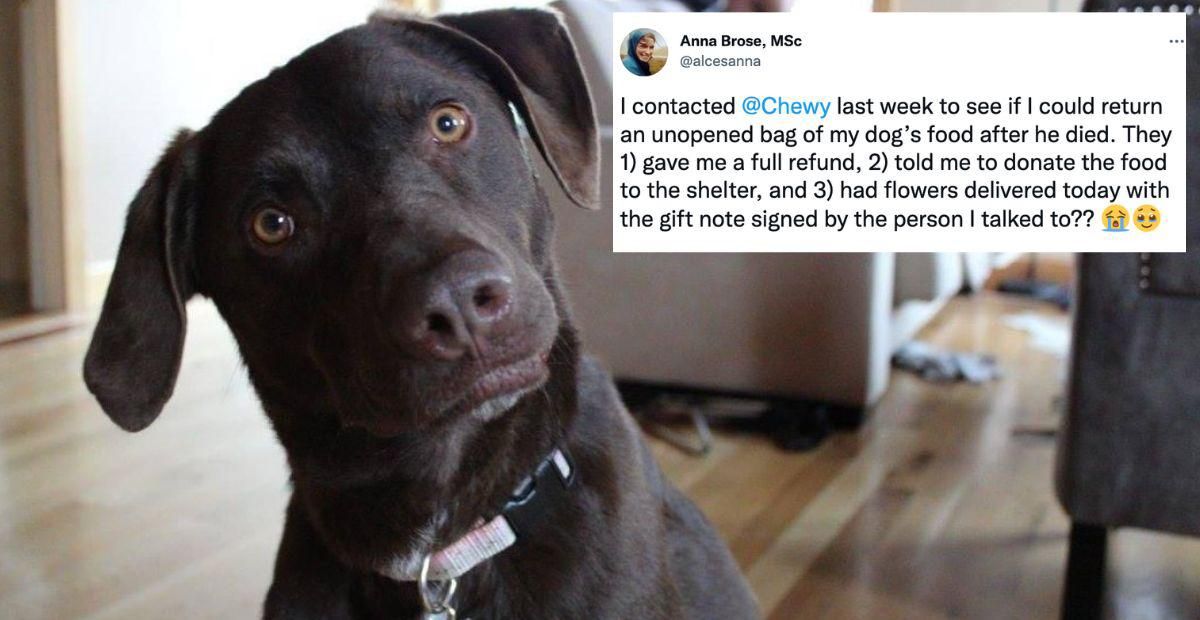 Woman shares on Twitter how Chewy sent flower after her dog passed